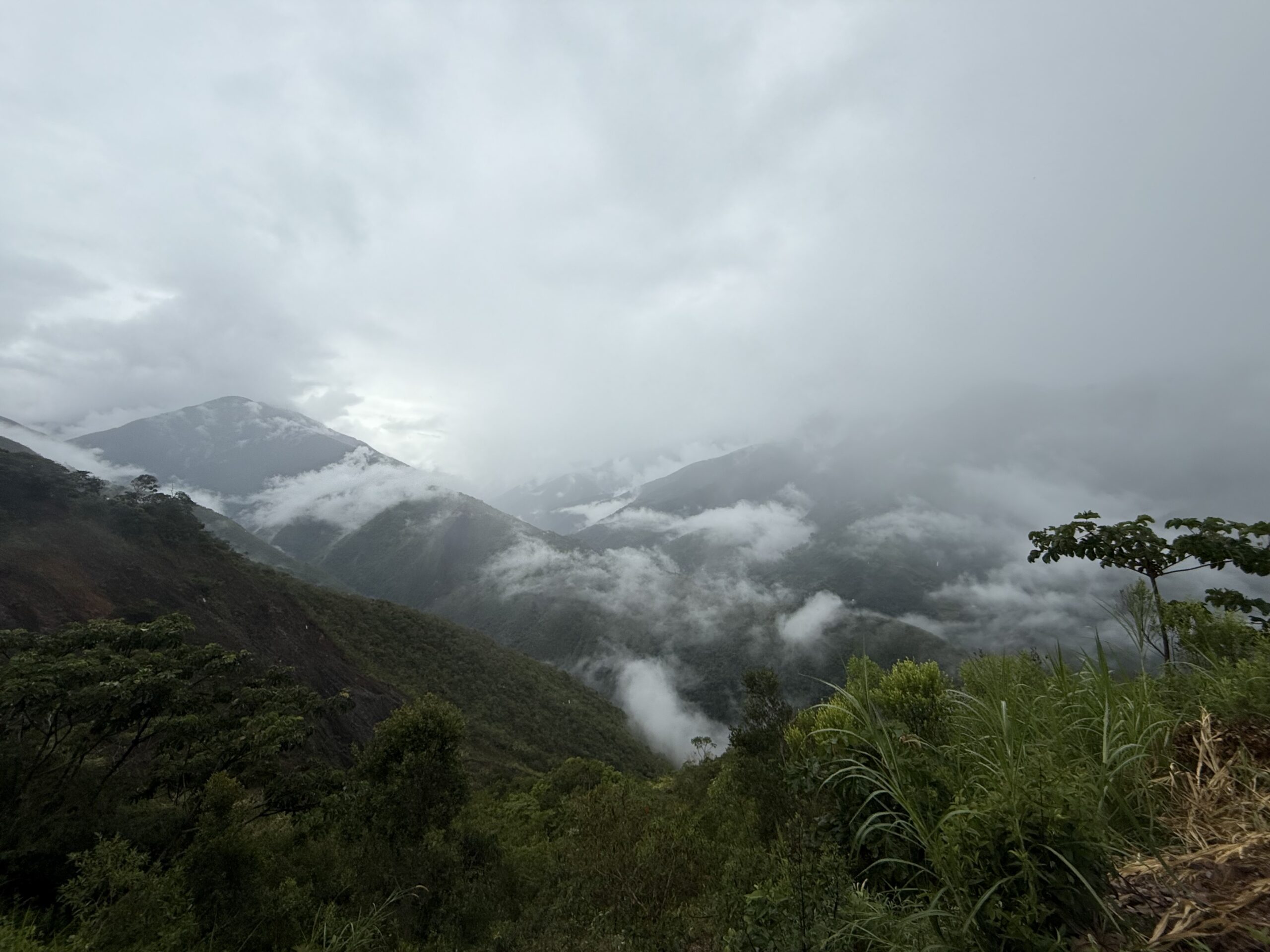 Photo 27 12 2025 15 58 50 Scaled