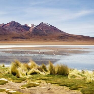 laguna colorada uyuni