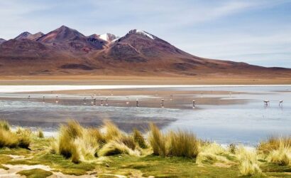 laguna colorada uyuni